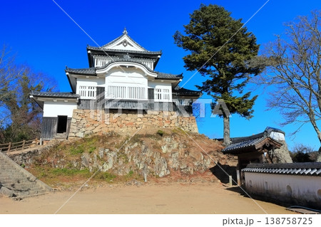 【岡山県】冬の備中松山城（現存天守） 138758725