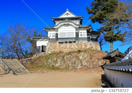【岡山県】冬の備中松山城（現存天守） 138758727