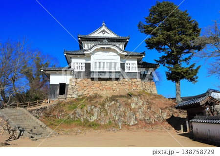 【岡山県】冬の備中松山城（現存天守） 138758729