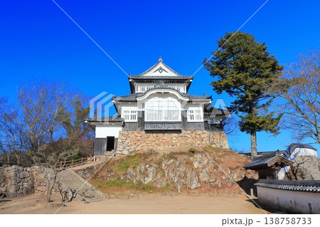 【岡山県】冬の備中松山城（現存天守） 138758733