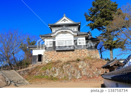 【岡山県】冬の備中松山城（現存天守） 138758734