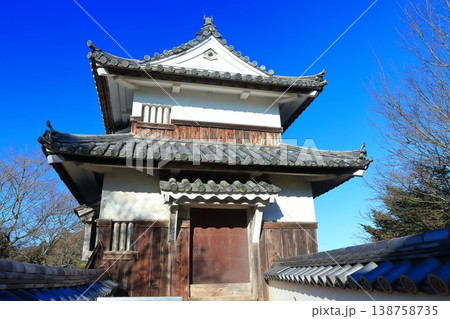 【岡山県】冬の備中松山城（現存天守） 138758735