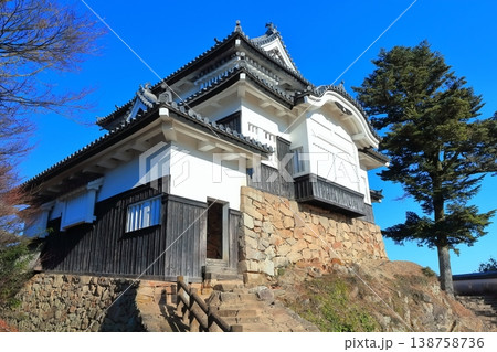 【岡山県】冬の備中松山城（現存天守） 138758736