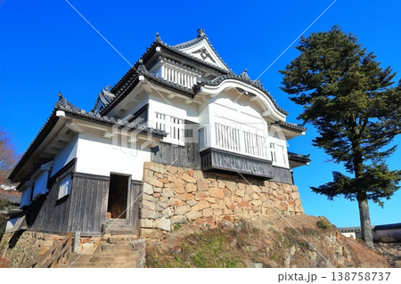 【岡山県】冬の備中松山城（現存天守） 138758737