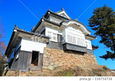 【岡山県】冬の備中松山城（現存天守） 138758738