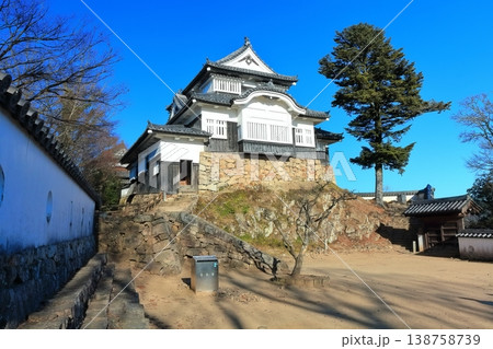 【岡山県】冬の備中松山城（現存天守） 138758739