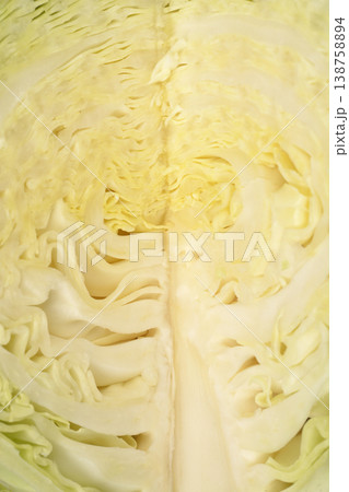 Quarter Section Cut of White Cabbage Head Quarter Section Cut of White Cabbage Head 138758894