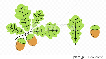 Oak, acorn, leaf and leaves, graphic design. Nature, tree, branch and plant, vector design and illustration 138759283
