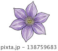 クレマチスの花の水彩イラスト シンプルなボタニカル素材 138759683