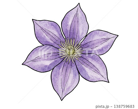 クレマチスの花の水彩イラスト シンプルなボタニカル素材 クレマチスの花の水彩イラスト シンプルなボタニカル素材 138759683