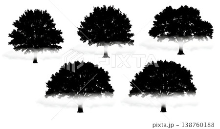 Black Solid Misty Foggy Oak Tree Silhouettes Set of Six Black Solid Misty Foggy Oak Tree Silhouettes Set of Six 138760188