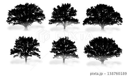 Black Solid Misty Foggy Oak Tree Silhouettes Set of Six Black Solid Misty Foggy Oak Tree Silhouettes Set of Six 138760189