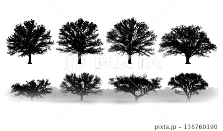 Black Solid Misty Foggy Oak Tree Silhouettes Set of Six Black Solid Misty Foggy Oak Tree Silhouettes Set of Six 138760190