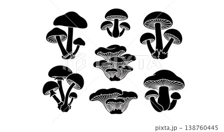 Black Solid Mycological Mushroom Wreath and Frame Silhouettes 138760445