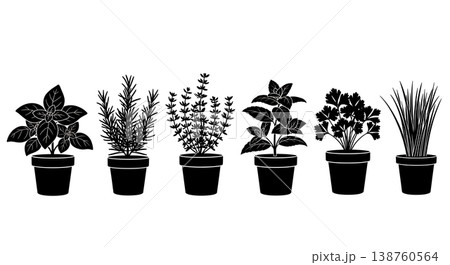 Black Solid Potted Herb Silhouettes Set of Six on White Background Black Solid Potted Herb Silhouettes Set of Six on White Background 138760564