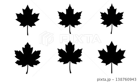 Black Solid Maple Leaf Variety Silhouettes Set of Six on White Background 138760943