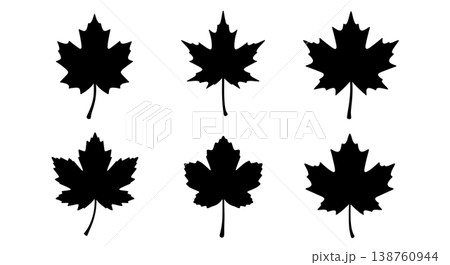 Black Solid Maple Leaf Variety Silhouettes Set of Six on White Background 138760944
