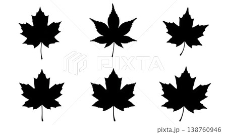 Black Solid Maple Leaf Variety Silhouettes Set of Six on White Background 138760946