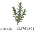 ローズマリーの枝 水彩風ボタニカルイラスト（透過素材） 138761201