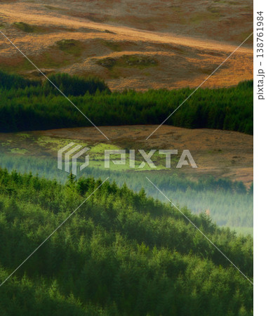 Layers of evergreen forest and rolling hills with morning mist and soft light hitting the terrain. Layers of evergreen forest and rolling hills with morning mist and soft light hitting the terrain. 138761984
