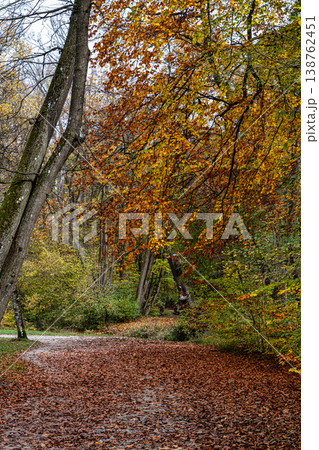 Golden autumn view in famous Munich relax place - Englischer Garten. Munich, Bavaria, Germany 138762451