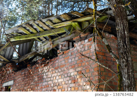 Old structure overtaken by greenery. Weathered roof and wall consumed by moss and nature Old structure overtaken by greenery. Weathered roof and wall consumed by moss and nature 138763482