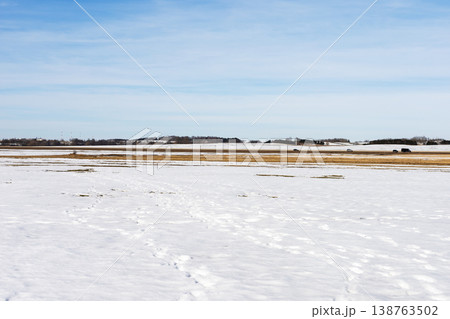 Silent winter expanse. Silent snowcovered terrain with distant footsteps under clear sunlight Silent winter expanse. Silent snowcovered terrain with distant footsteps under clear sunlight 138763502
