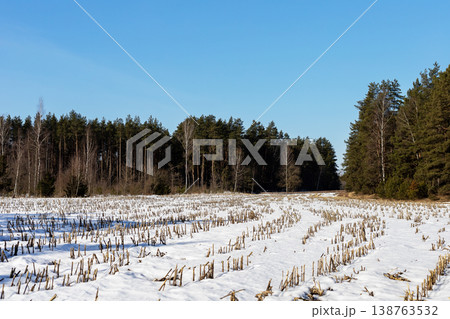 Winter rural scene. Serene winter scene highlighting frosty field and distant forest horizon 138763532