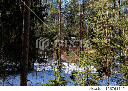 Tranquil winter landscape featuring rustic cabin among lofty pine forests and drifting snow 138763545