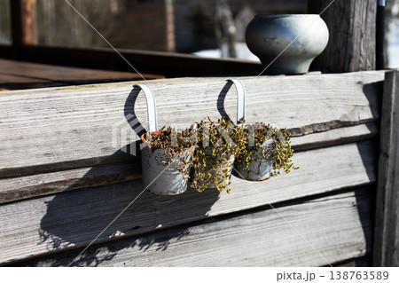 Decorative planters with dried herbs. Sunlit garden with hanging planters and rustic decor theme Decorative planters with dried herbs. Sunlit garden with hanging planters and rustic decor theme 138763589