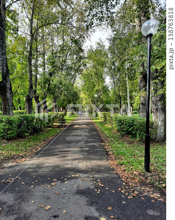 A green park alley with trees and a path covered with fallen leaves and street lamps. 138763818