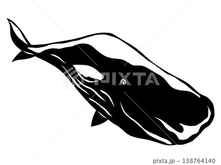 まるで潜水艦みたいな動物マッコウクジラの切り絵貼り絵イラスト 138764140