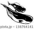 癒しの海洋生物マッコウクジラの親子切り絵貼り絵イラスト 138764141