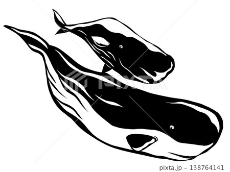 癒しの海洋生物マッコウクジラの親子切り絵貼り絵イラスト 138764141