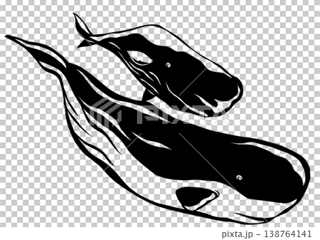 癒しの海洋生物マッコウクジラの親子切り絵貼り絵イラスト 138764141
