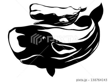 可愛い子鯨を背中にのせ泳ぐマッコウクジラの親子切り絵貼り絵イラスト 138764143
