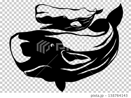 可愛い子鯨を背中にのせ泳ぐマッコウクジラの親子切り絵貼り絵イラスト 138764143