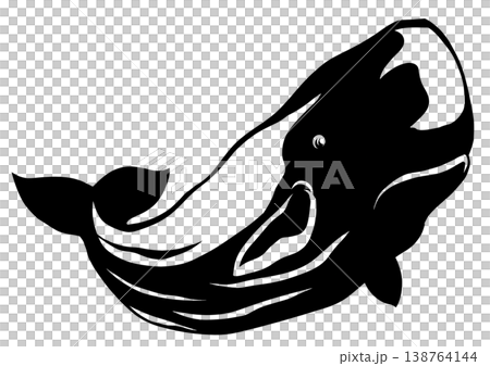 A paper-cut collage illustration of a sperm whale, whose natural enemy is orcas and whose favorite food is the giant squid. A paper-cut collage illustration of a sperm whale, whose natural enemy is orcas and whose favorite food is the giant squid. 138764144