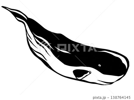 今日は何処まで潜るマッコウクジラの切り絵貼り絵イラスト 138764145