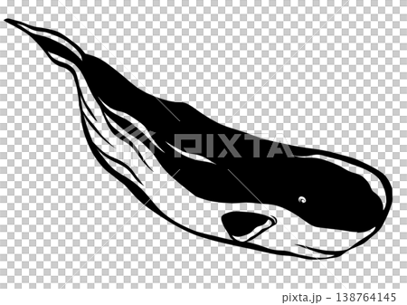 今日は何処まで潜るマッコウクジラの切り絵貼り絵イラスト 138764145