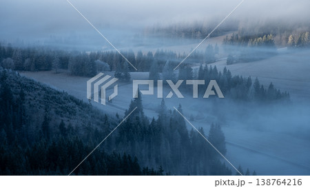 Winter forest with frozen trees and morning fog rolling in, Slovakia 138764216