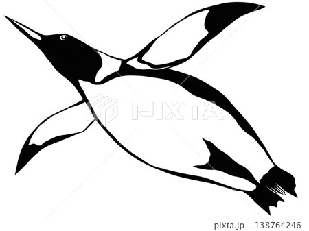 下側から見上げたペンギンの切り絵風シルエットイラスト 黒 背景透過 下側から見上げたペンギンの切り絵風シルエットイラスト 黒 背景透過 138764246