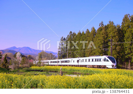 日光市 東武鬼怒川温泉駅へ向かうスペーシアⅹと菜の花畑 日光市 東武鬼怒川温泉駅へ向かうスペーシアⅹと菜の花畑 138764431