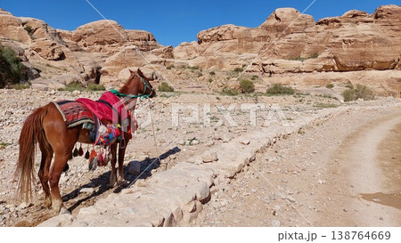 Saddled horse stands on a dusty desert path near sandstone cliffs. Saddled horse stands on a dusty desert path near sandstone cliffs. 138764669