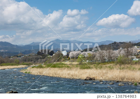 春の吾妻川 群馬県 春の吾妻川 群馬県 138764983