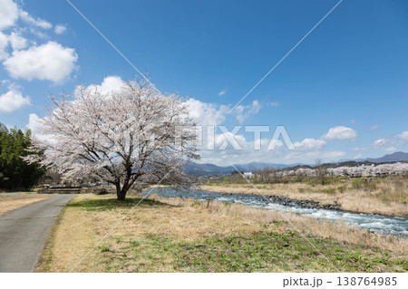 春の吾妻川 群馬県 春の吾妻川 群馬県 138764985
