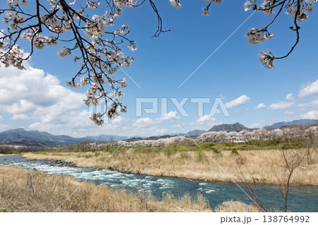 春の吾妻川 群馬県 春の吾妻川 群馬県 138764992