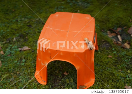 Orange plastic stool on mossy ground with a fallen leaf on top. Outdoor close-up of a small seat in nature. Orange plastic stool on mossy ground with a fallen leaf on top. Outdoor close-up of a small seat in nature. 138765017