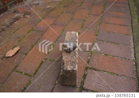Single brick standing on wet pavement with a small stone on top, shallow depth of field Single brick standing on wet pavement with a small stone on top, shallow depth of field 138765131