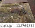 Rusty key and old metal tool on weathered wooden table with moss and stains 138765232